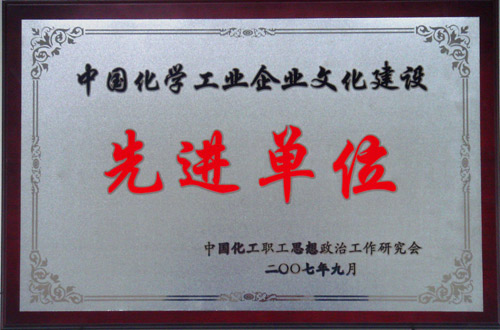 中国化学工业众博官方网站建设先进单位
